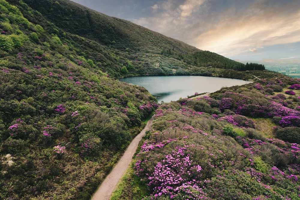 Bay Lough, Knockmealdown Mountains