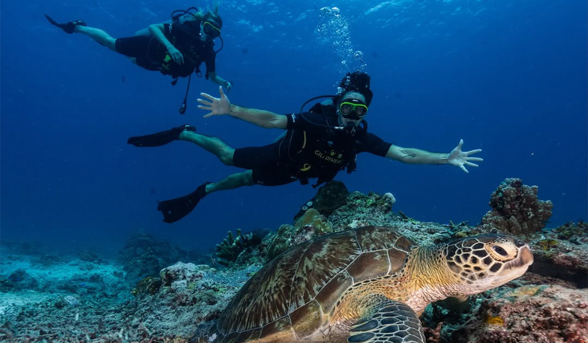 Pic: Greg O’Shea/Instagram