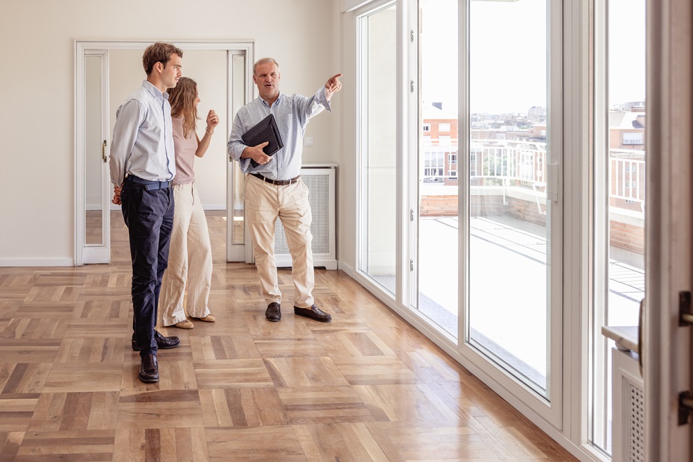 Overbidding in Irish Housing Market