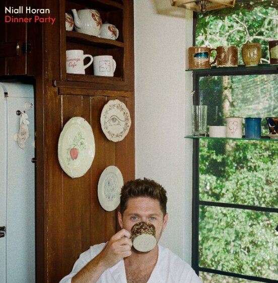 Niall Horan Announces 2 Dublin Dates 3 Niall Horan Dinner Party