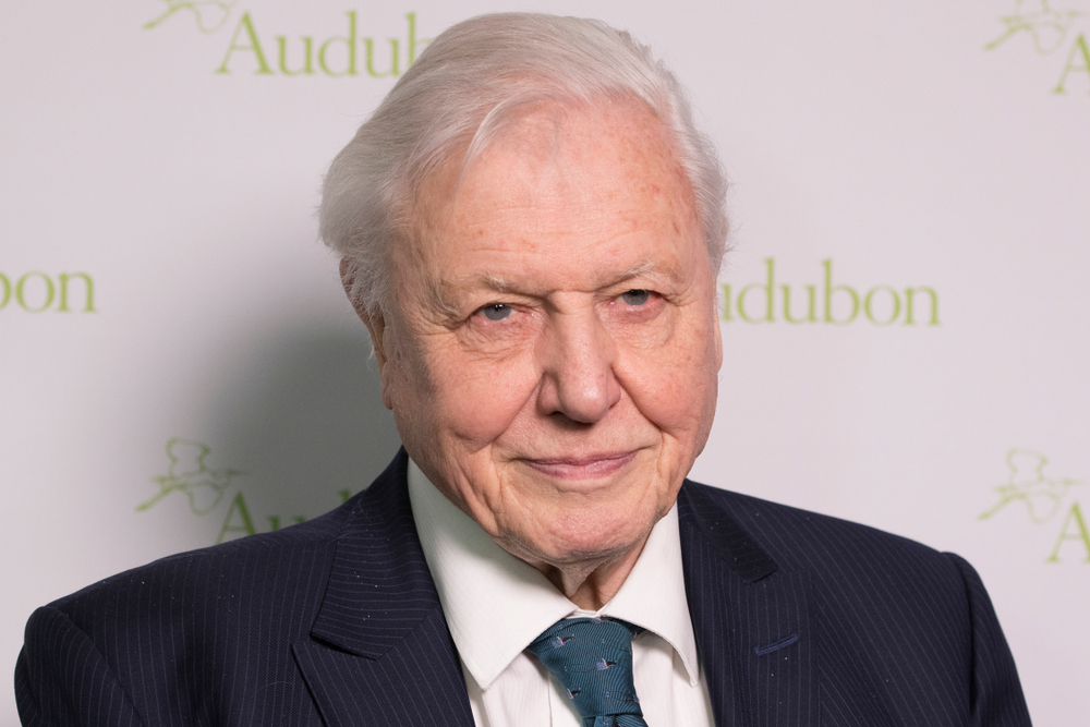 David Attenborough. Lev Radin, Shutterstock
