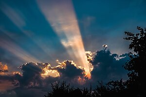 shutterstock 2471978259