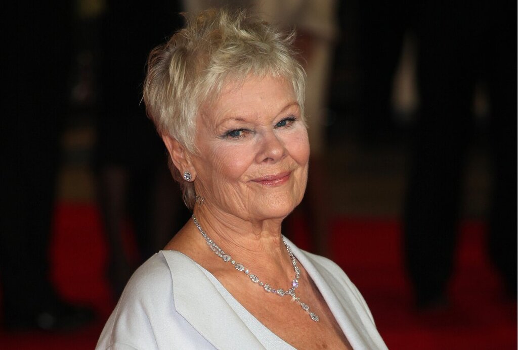 Dame Judi Dench Admits Posting Dead Rat To Neighbours 3 Dame Judi Dench. Featureflash Photo Agency, Shutterstock