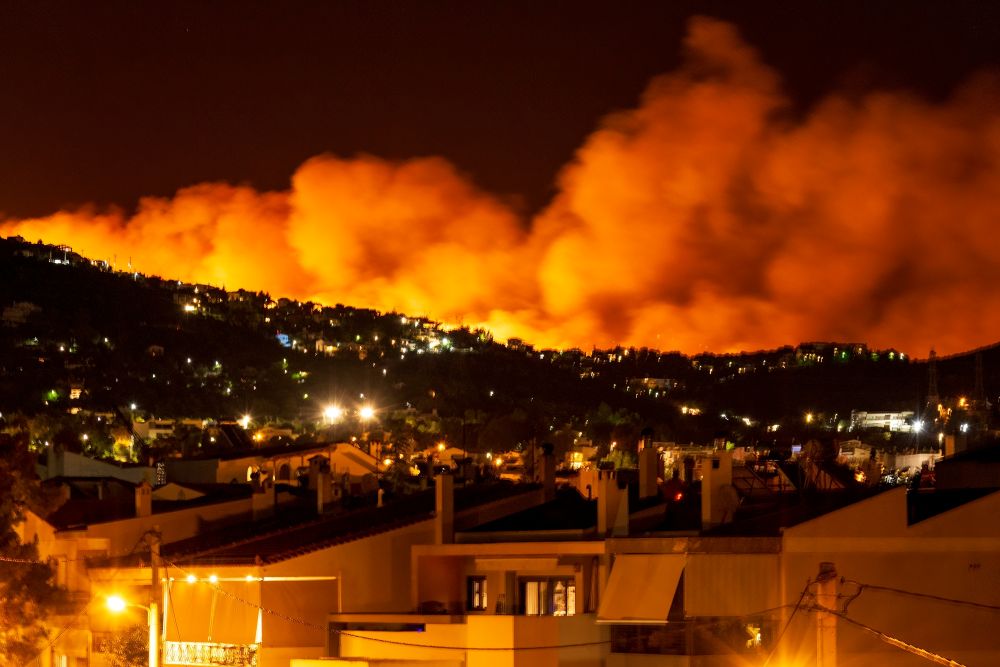 Wildfire