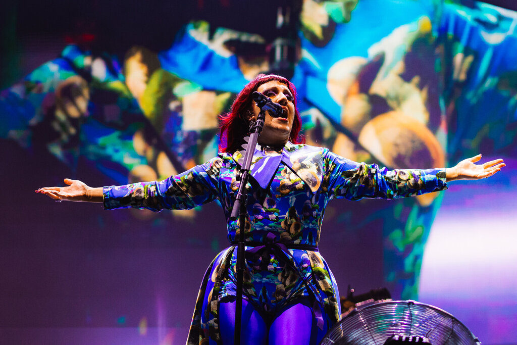Electric Picnic 2027 Tickets To Go On Sale This Friday: Director Announces Price And Festival Capacity 3 CMAT by Anamaria Meiu. EP2026 1