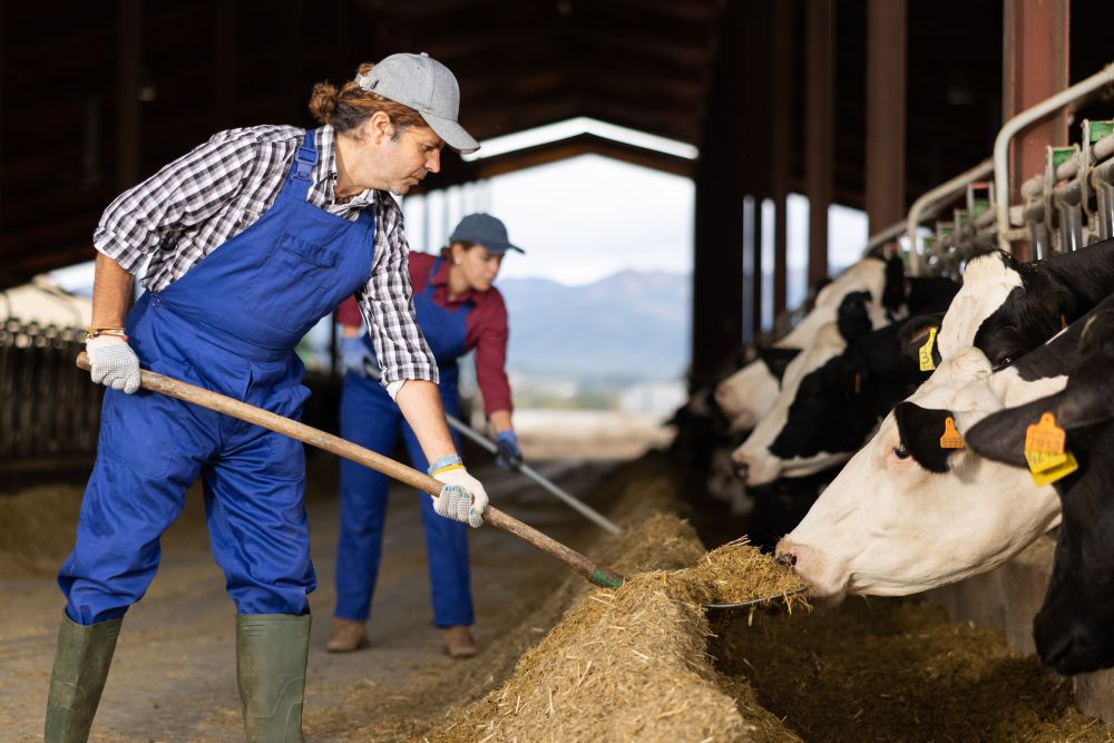 Farmers