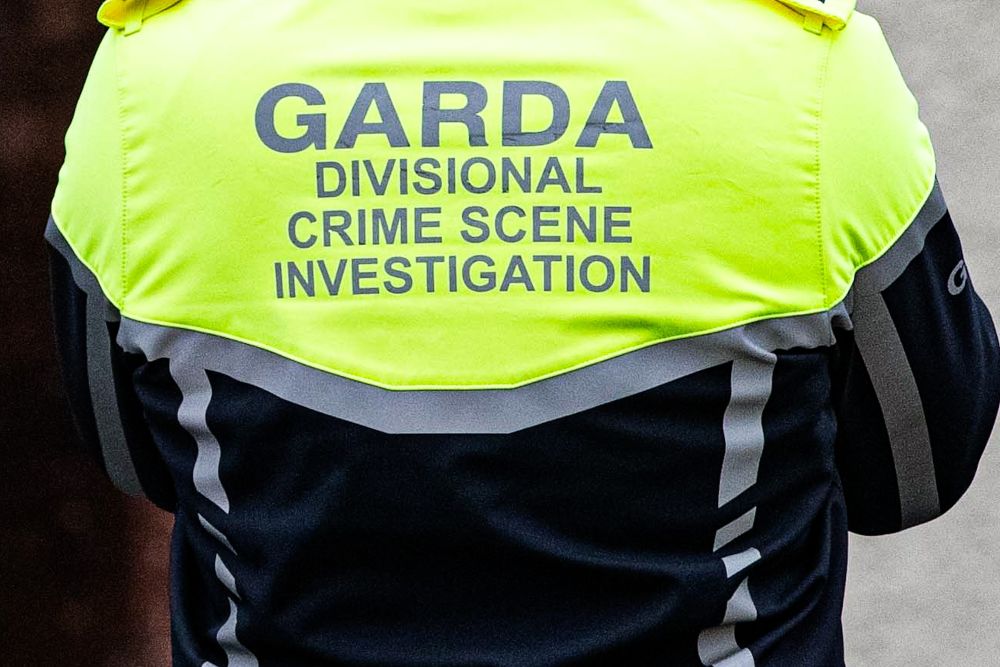 Garda investigator