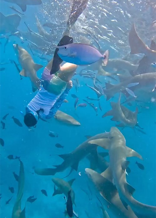 Irish marine biologist lands her 'dream' job in the Maldives 9 Irish marine biologist Katelyn Hegarty-Kelly. Pic: Katelyn Hegarty-Kelly/Instagram