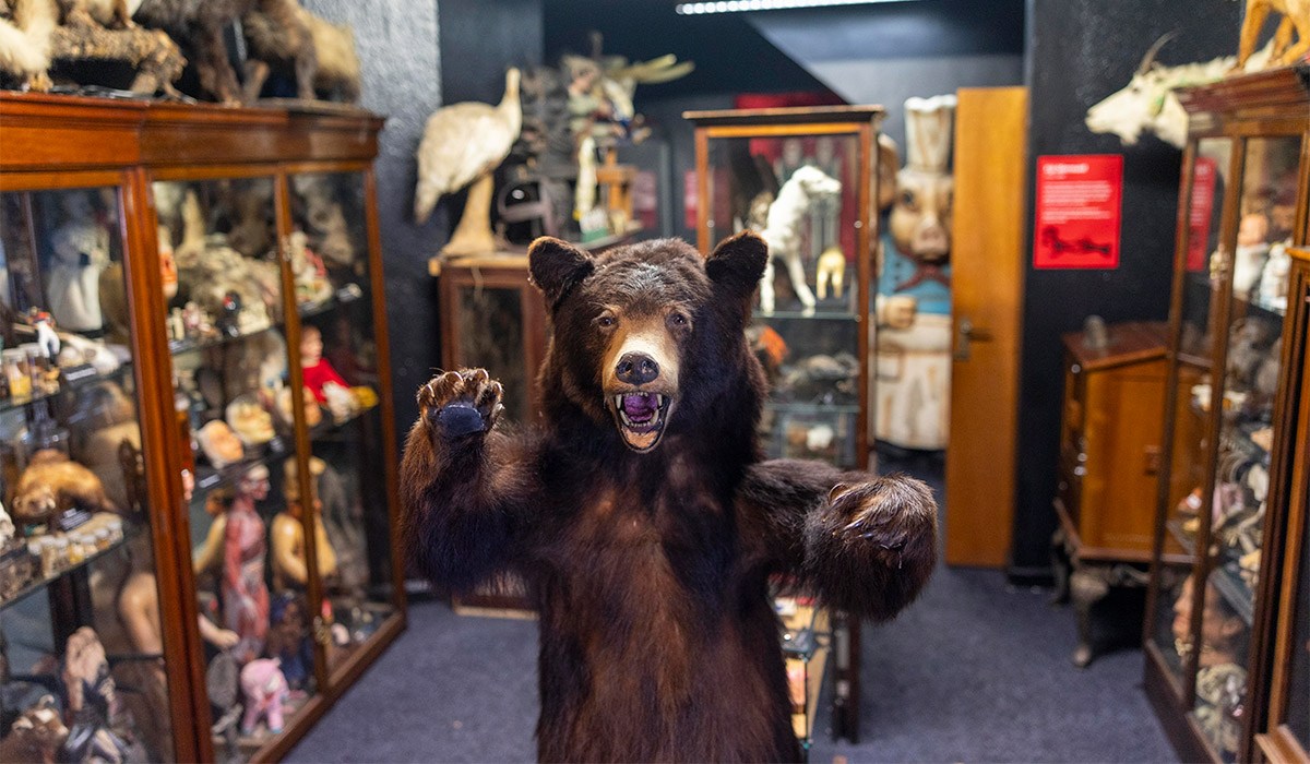 'My visit to Ireland's creepiest museum was the stuff of nightmares' 8 Museum 10