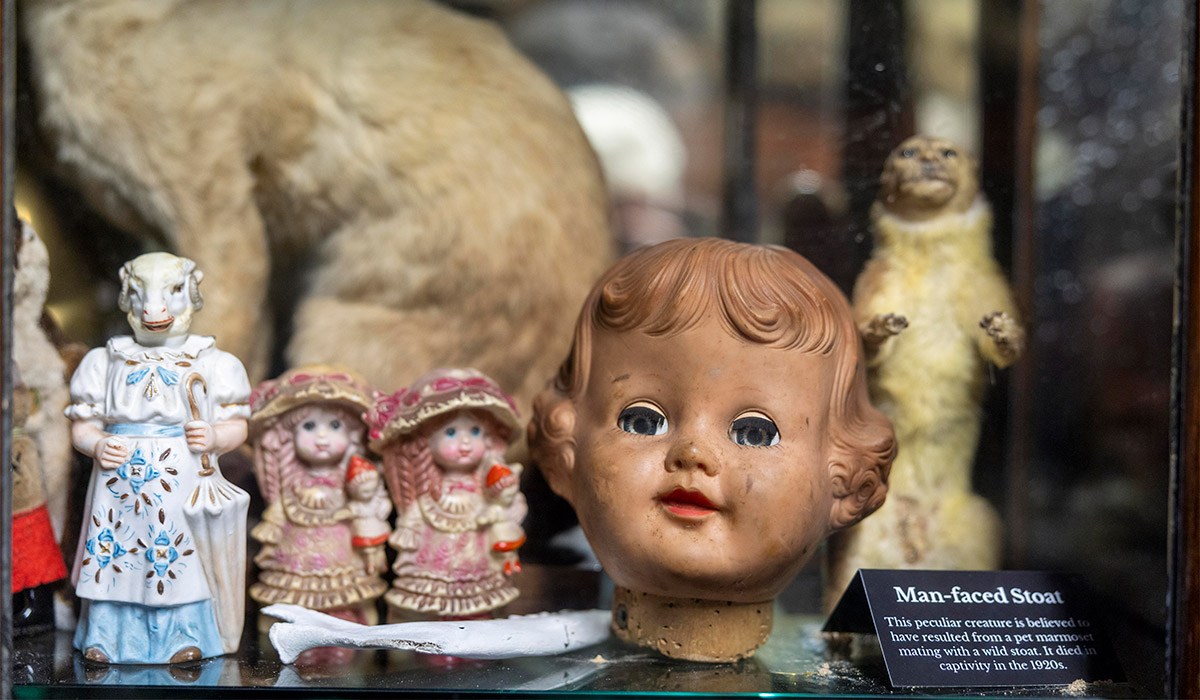 'My visit to Ireland's creepiest museum was the stuff of nightmares' 7 Museum 11