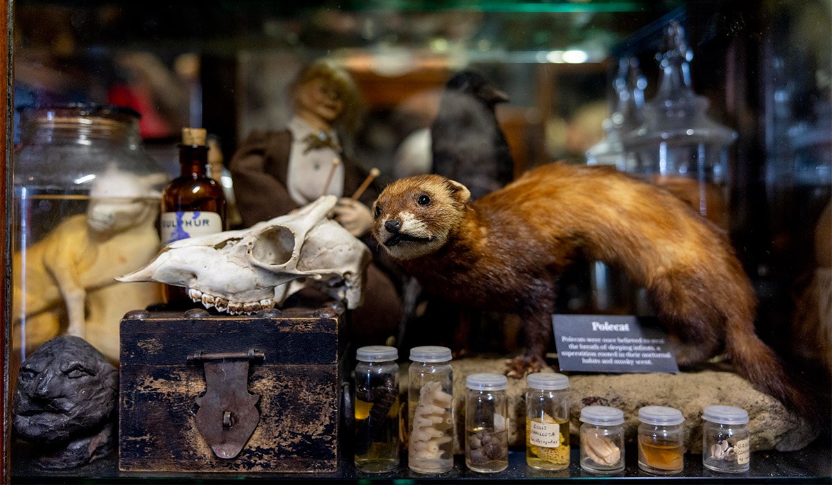 'My visit to Ireland's creepiest museum was the stuff of nightmares' 10 Museum 8